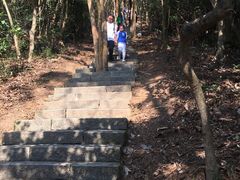 -梧桐山风景名胜区