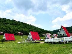 -关山草原
