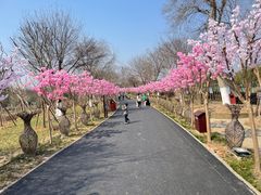 -武汉紫薇都市田园