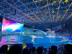 -海合安青岛极地海洋公园