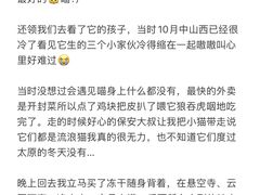 -窦大夫祠