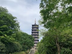 -宜兴龙背山森林公园