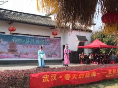 -武汉紫薇都市田园