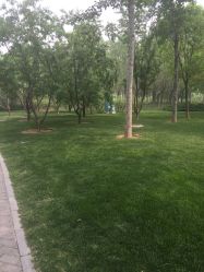 -大望京儿童游乐场