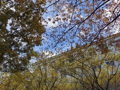 -上海财经大学(国定路校区)