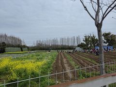 -上海长兴岛郊野公园