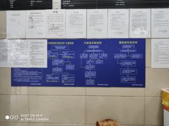 -申普宠物医院·眼科·心内科·影像科(普陀分院)