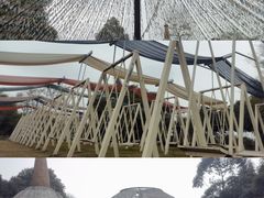 -都江堰玫瑰花溪谷