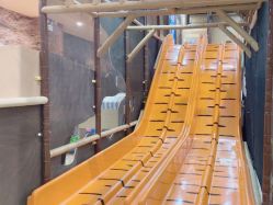 -卡通尼·Safari非洲探索乐园·生日会(金桥国际商业广场店)