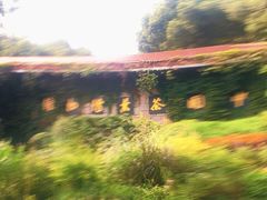 -中国茶叶博物馆(双峰馆区)