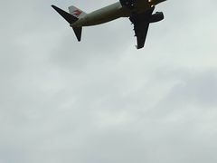 -空港花田景区