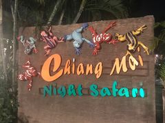 -清迈夜间动物园