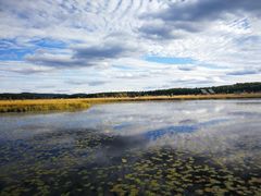 -塞罕坝国家级自然保护区