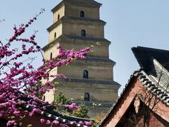 -大慈恩寺(大雁塔)