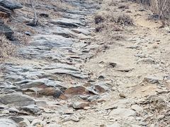-红光山