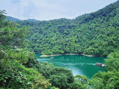 -鼎湖山风景区