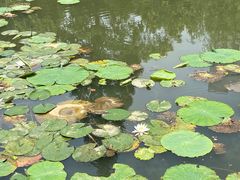 -孝子祠公园