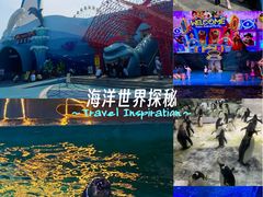 -大连圣亚海洋世界