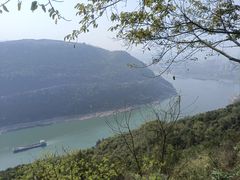 -铁山坪森林公园
