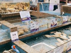 水产区-悦海楼(三衢路店)