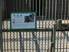 -合肥野生动物园