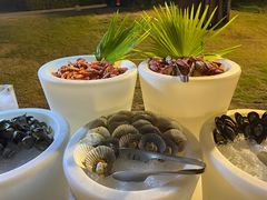 -JW万豪厨房餐厅·滨海草坪烧烤·海鲜·海景(三亚绿发山海天JW万豪酒店)