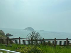 -魚當家