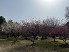 -采石矶景区