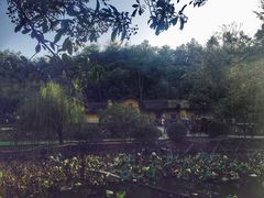 -韶山毛泽东同志故居