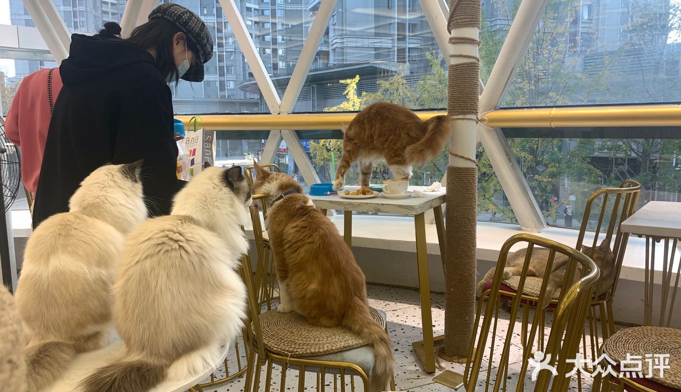 期望有多大，失望就有多大吧！第一次这样的……