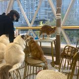 期望有多大，失望就有多大吧！第一次这样的……