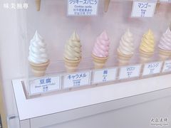 琳琅满目的冰激凌口味-寺子屋本舗(浅草仲見世小町店)