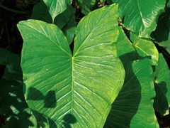 -北京上方山国家森林公园