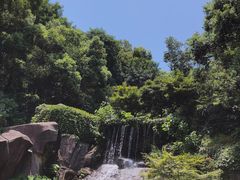 -岳麓山风景名胜区