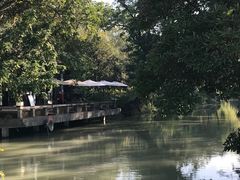 -扬州大运河文化旅游度假区·盆景园