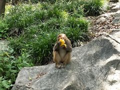 -千岛湖东南湖区