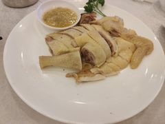 白切参皇鸡-盆满钵满·国家非遗传承(云台店)