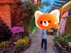 -慢丽江·云南野生菌土鸡锅(付家庄店)