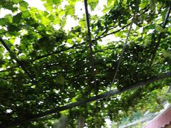 -伊隆斋(什刹海店)