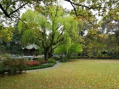 -申粤轩酒楼·三十年粤菜经典(丁香花园店)