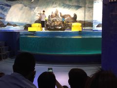 -梦幻海洋王国(吾悦广场张家港店)