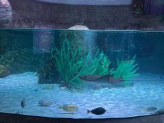 -沈阳海洋探索中心