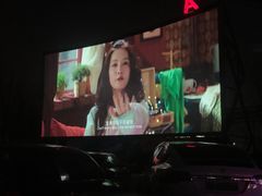 -枫花园汽车电影院(朝阳公园店)