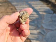-黄金博物馆