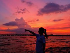 -宝安西湾红树林湿地公园