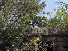 -青芝山风景名胜区