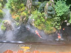 -唐河王记·南阳民间菜(国基路店)