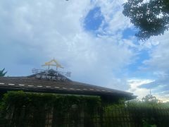 -松茸小馆·云南特色餐厅