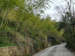 -紫金山山顶公园