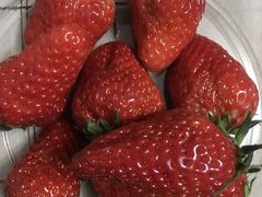 -百果园PAGODA(升龙城店)